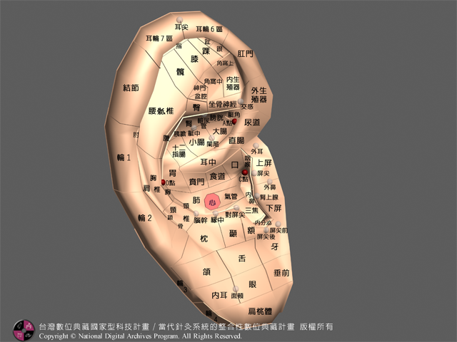 93耳針國標文字後設資料（陳擎文老師工作小組）