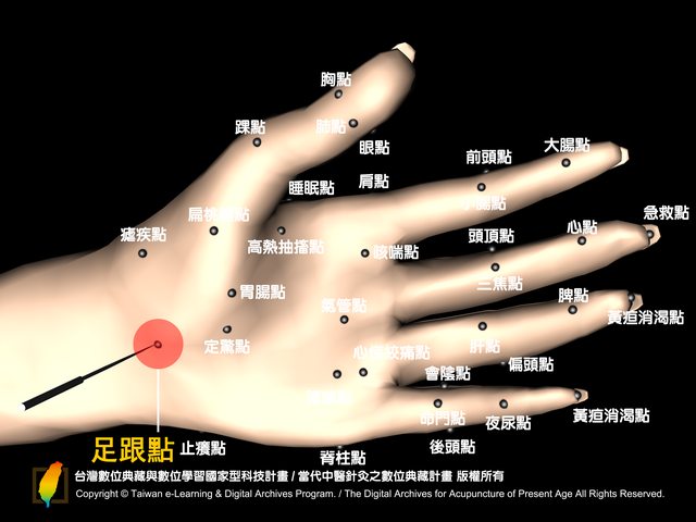 手根・足根針 【公式通販】
